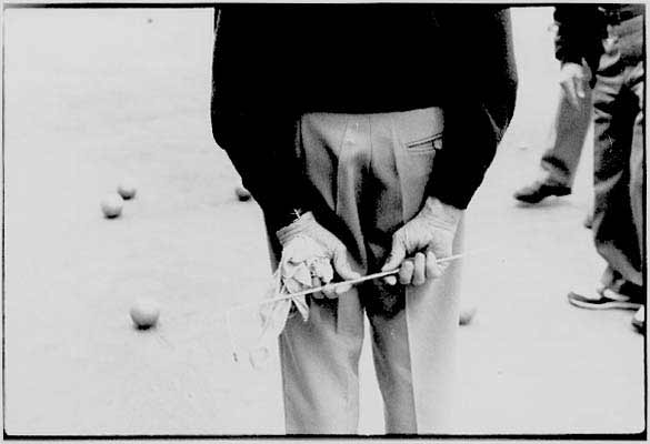 &copy;Photo E. ESTAMPES-BARTHELEMIE