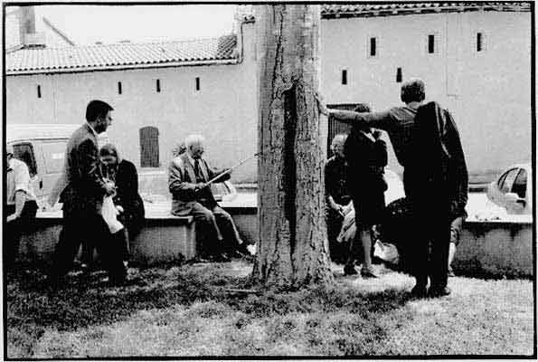 &copy;Photo E. ESTAMPES-BARTHELEMIE